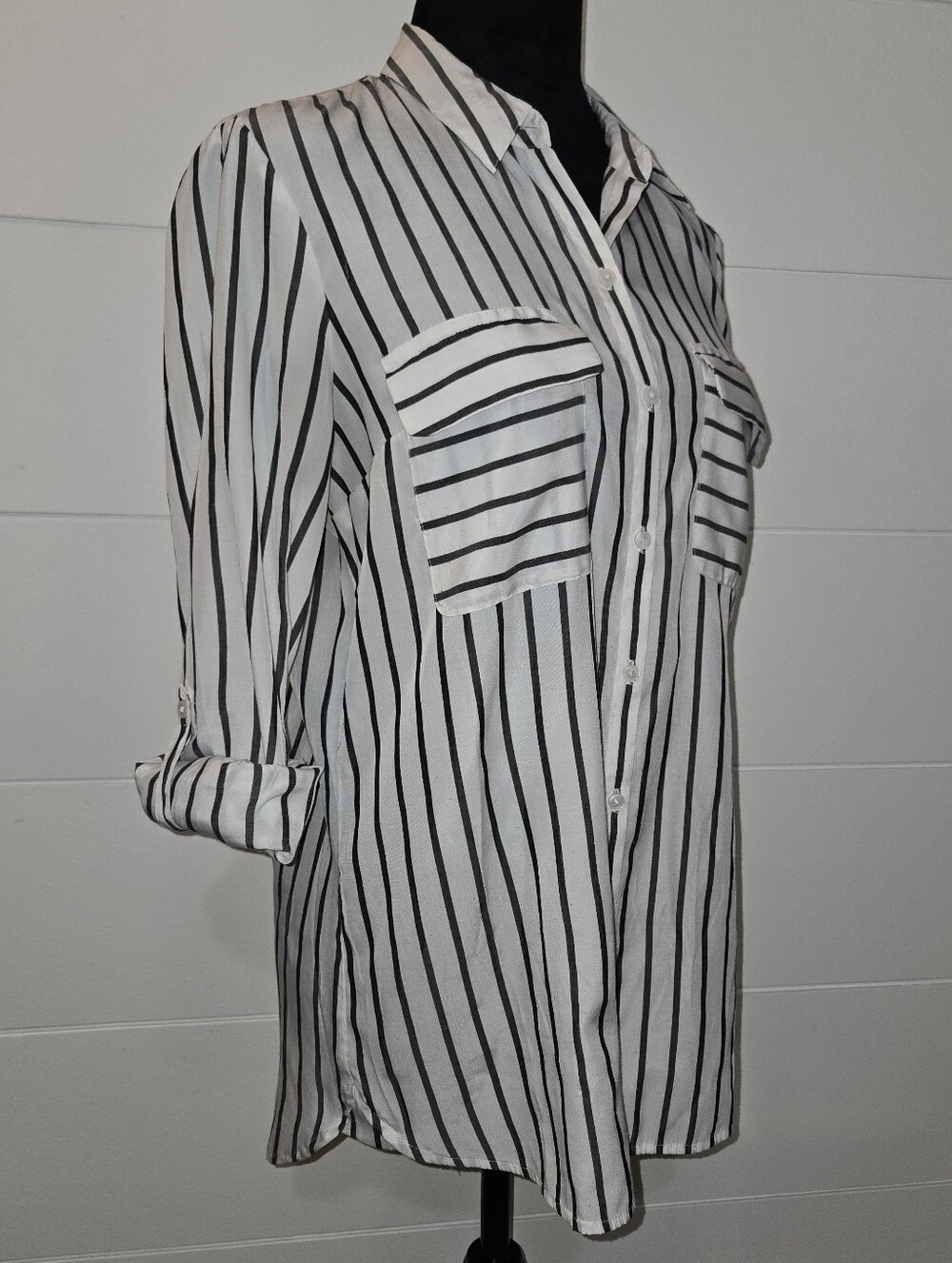 Express Dark Grey and White Striped Button-Down Shirt